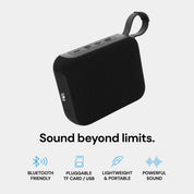 Sauna Spa Speaker